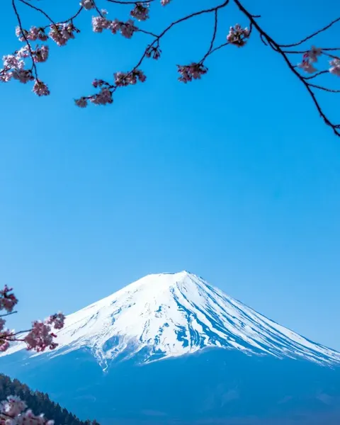Mount Fuji and cherry blossoms, Japan